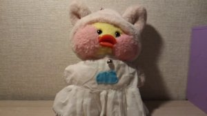 Рубрика Вопрос-ответ с уточкой Милкой! | Едем на дачу #милкаиполина #дача #вопросответ