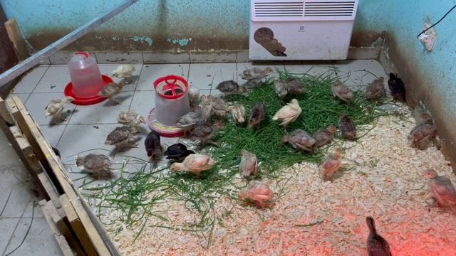 29-05-2023 смотреть онлайн