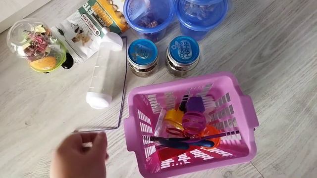 Уборка в полке у крыс/вещи моих крыс/Кошка Шаи бесится😆#моилюбимки#листиккексик #котики#крысы#твимз смотреть онлайн