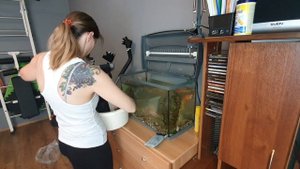 МОТИВАЦИЯ НА УБОРКУ В КВАРТИРЕ/ПОМЫЛА ОЧЕНЬ ГРЯЗНЫЙ АКВАРИУМ/УБОРКА В КВАРТИРЕ