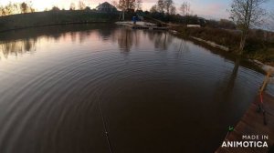 Рыбалка 24 10 2020  РК  Посейдон, Ловля прудовой форели