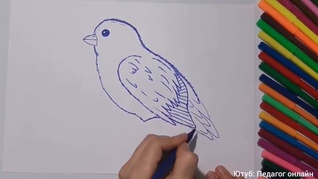Рисуем птичку. Уроки рисования для детей. Простые рисунки