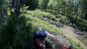 На мотоблоке Агро по лесному бездорожью