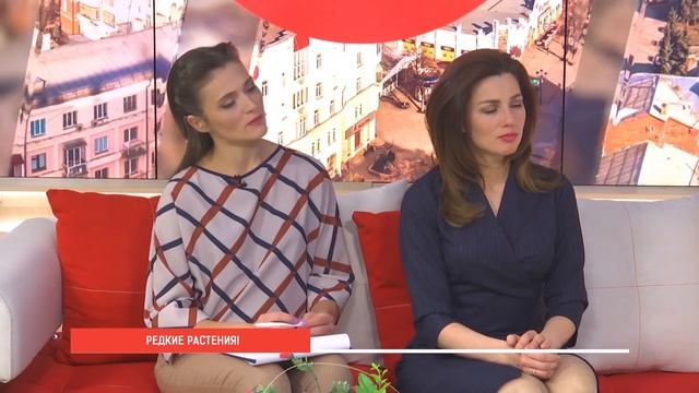 Редкие растения Южного Урала