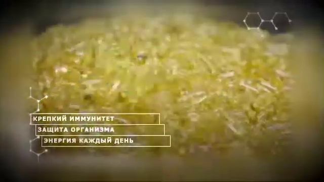 Камчатка #Омега-3 #Дикий лосось смотреть онлайн