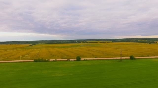 Как найти журавля? Талдомский заказник "Журавлиная Родина" смотреть онлайн