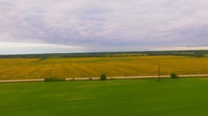 Как найти журавля? Талдомский заказник "Журавлиная Родина"