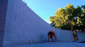 125 pushup 105 burpees handstand  200 day burpee challenge, 100 burpees challenge, 100 pushups