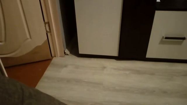 Хаски гиперактивность. Бусинка
