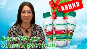 ГуматЭМ для защиты растений