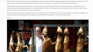 +18. ШОК !!! ФЕСТИВАЛЬ ПОЕДАНИЯ СОБАК В КИТАЕ