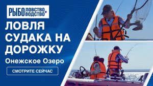 Ловля судака на спиннинг | Троллинг на Онежском озере