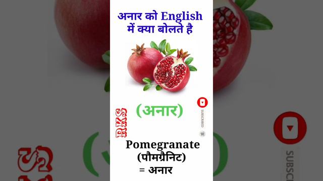 अनार को English में क्या बोलते है 
|| RKS ||