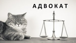 "Адвокат" (сказка для взрослых). Евгений Чеширко.