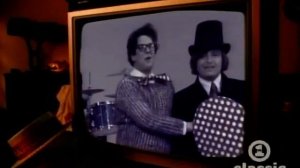 Turtles - Happy Together