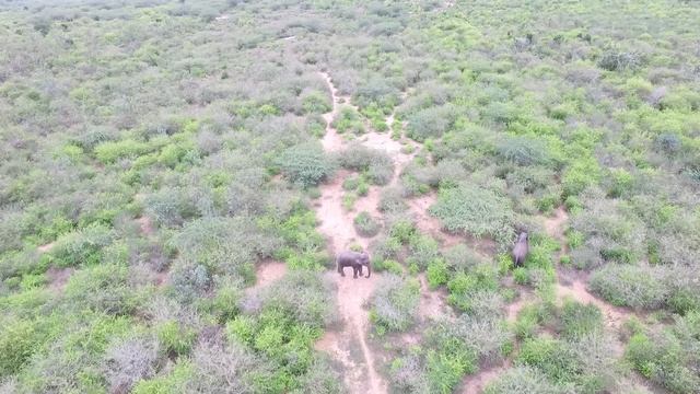 Hambantota Sri Lanka смотреть онлайн