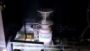 New Skimmer! Deltec 600i Unboxing/First Impressions