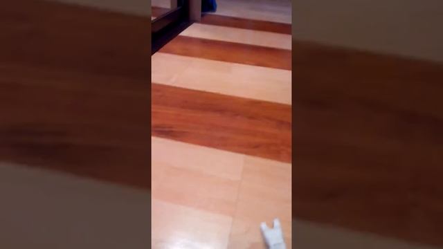 лего арктика смотреть онлайн