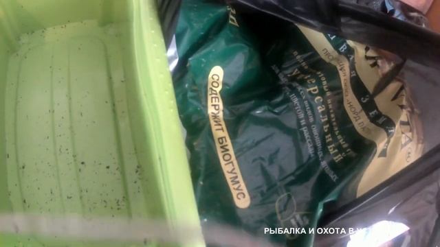 КАЛИФОРНИЙСКИЕ ЧЕРВИ!!! ЗАСЕЛЕНИЕ!!! смотреть онлайн