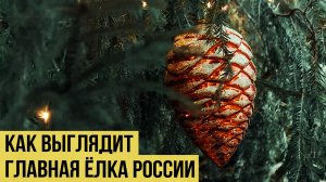 Ёлки в Кремле: какое решение было принято в этом году. Репортаж с места событий