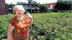 Когда стоит убирать лук? Снимаем урожай лука.