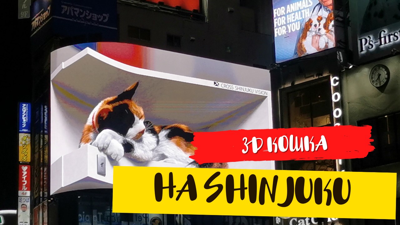 3D  Кошка на станции Shinjuku