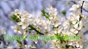 Мама рядом (песня для мамы)