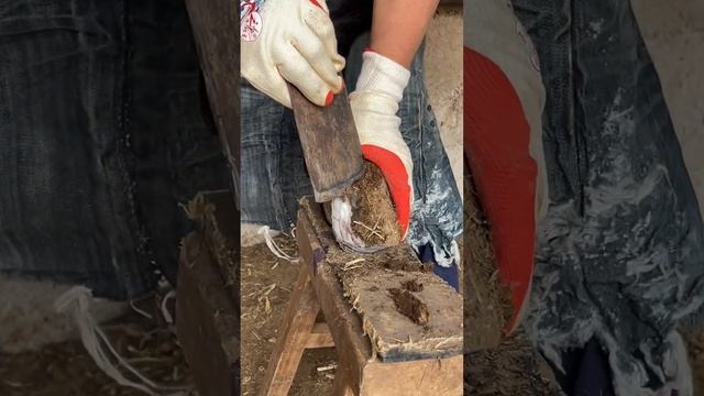 Save the donkey! Cut a lot of blood marks丨ASMR丨Donkey hoof cutting sound смотреть онлайн