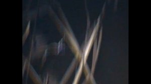 Ночь , Фонарь , Охота !