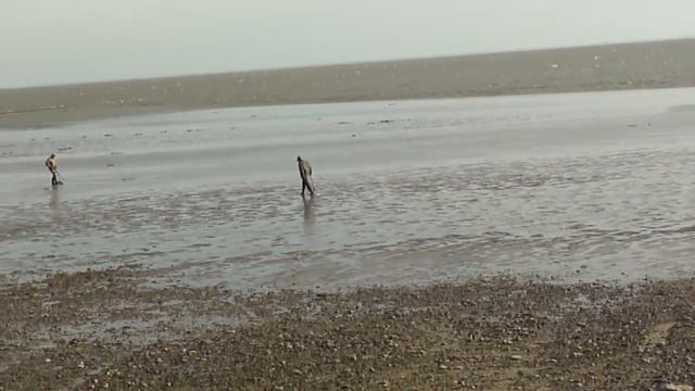 На пляжи Таганрога вышли золотоискатели смотреть онлайн