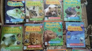 Обзор журналов " Твои веселые друзья зверята"