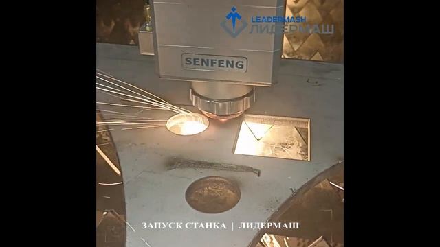 Волоконный лазерный станок для резки металла SENFENG SF3015G 3000W введен в эксплуатацию