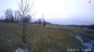 охота  в воронежской области 13.12.20