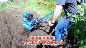 Ранчо Санчо. Дачей не пользовались 50 лет. Начало положено.