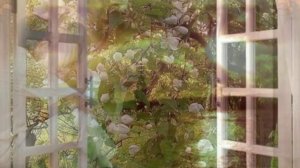 Ветер северный умеренный..   Голубые гитары