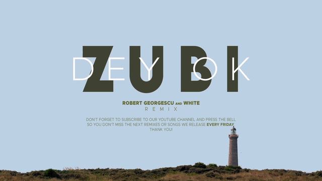 Zubi - Dey Ok | Robert Georgescu and White Remix