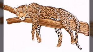 Картины из дерева. Стиль ИНТАРСИЯ!!!