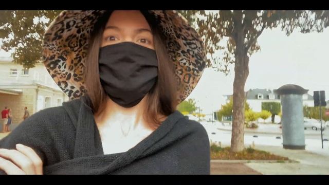 Приютили Котёнка. Мошенники, Как Назвать Кота и Первые Дни Дома смотреть онлайн