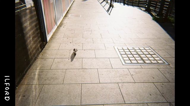 Disposable cameras comparison / ILFORD ILFOCOLOR RAPID RETRO - FUJIFILM QUICK SNAP - Kodak Funsaver смотреть онлайн