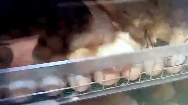 Отзыв Чебоксары смотреть онлайн