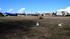 Прогулка на базар .. Крым - Бахчисарайский район 2016