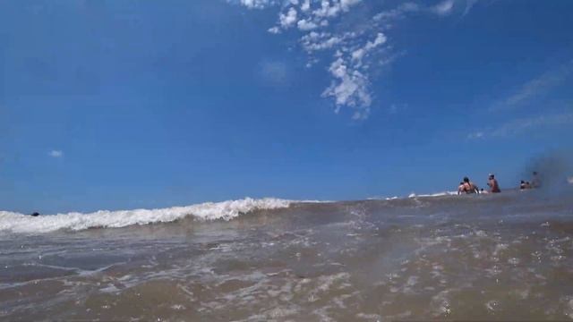 Поехали на пляж Miramar в Argentine, поля подсолнухов