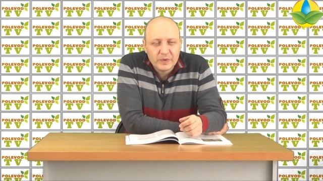 Фитофтороз томатов или как спасти помидор. Препараты от болезней на помидорах
