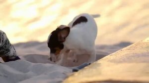 Дети Африки