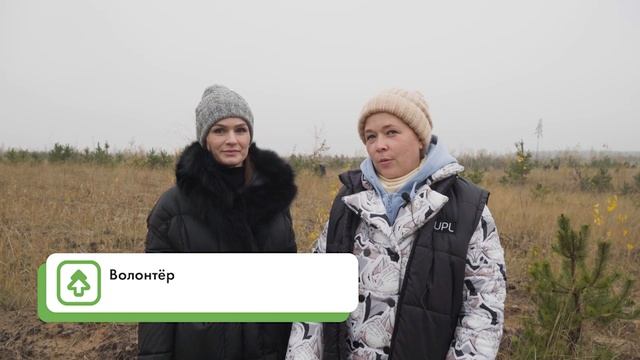 Посадка леса в Воронежской области 23 октября 2023 года смотреть онлайн