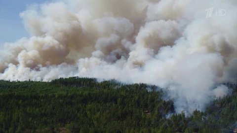 Почти 10 тысяч спасателей тушат пожары в Рязанской области