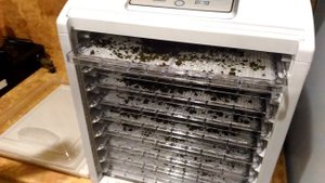 Сушилка для овощей и фруктов Kitfort KT-1909