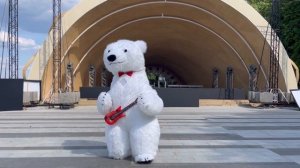 Белый мишка-гитарист??