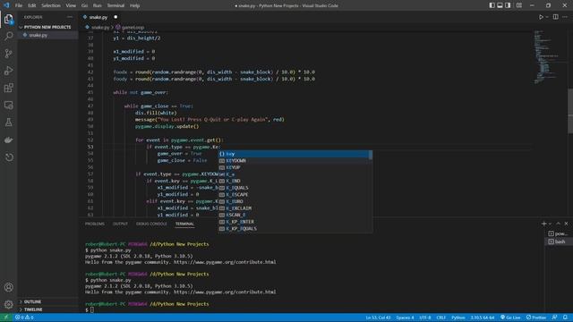 Python Snake Game Using Pygame - Slow Pace - Chill Coding - No Talk