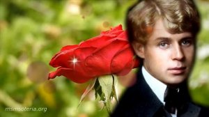 Закружилась листва золотая. Сергей Есенин. 🍁🍁🍁 Стихи